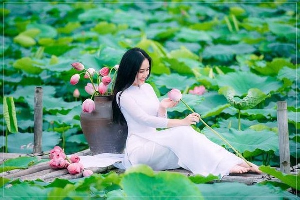 Nhà cái Fabet giải mã giấc mơ thấy hoa sen đánh con gì?