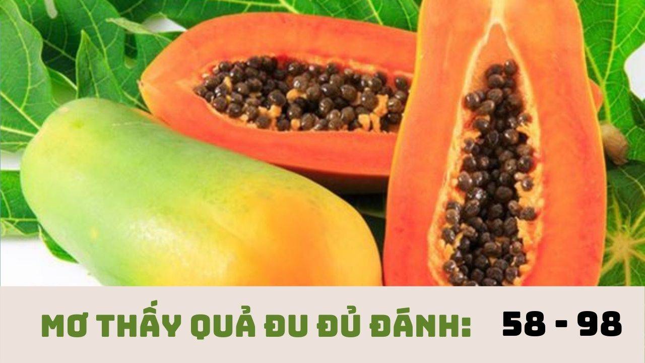 Nhà cái Fabet giải mã giấc mơ thấy quả đu đủ đánh con gì?